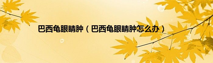 巴西龟眼睛肿（巴西龟眼睛肿怎么办）