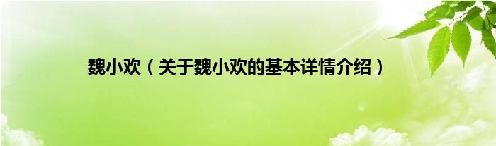 魏小欢（关于魏小欢的基本详情介绍）