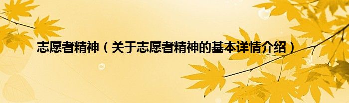 志愿者精神（关于志愿者精神的基本详情介绍）