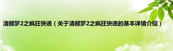 清醒梦2之疯狂快递(关于清醒梦2之疯狂快递的基本详情介绍)