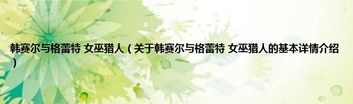韩赛尔与格蕾特 女巫猎人（关于韩赛尔与格蕾特 女巫猎人的基本详情介绍）