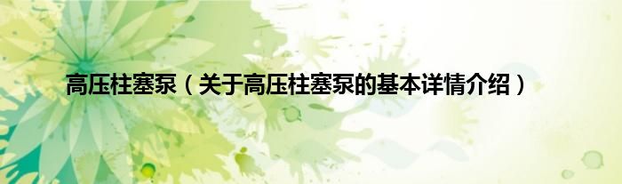 高压柱塞泵（关于高压柱塞泵的基本详情介绍）