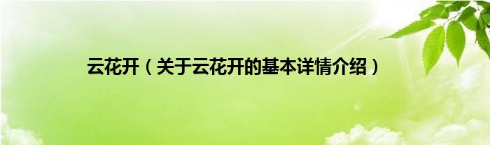 云花开(关于云花开的基本详情介绍)