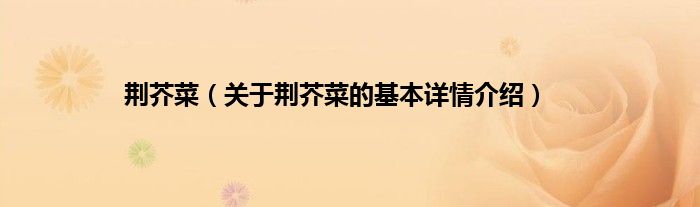 荆芥菜（关于荆芥菜的基本详情介绍）