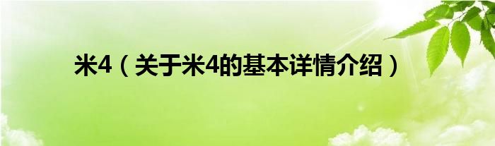 米4(关于米4的基本详情介绍)