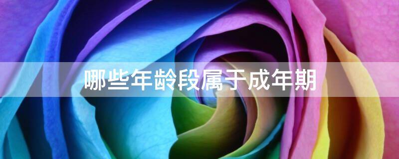哪些年龄段属于成年期