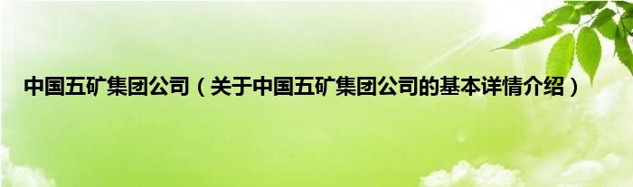 中国五矿集团公司（关于中国五矿集团公司的基本详情介绍）