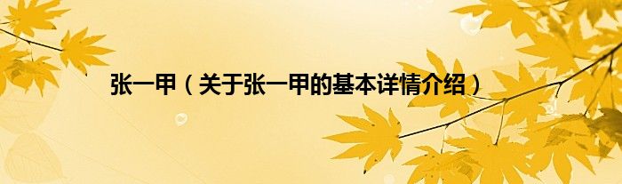 张一甲（关于张一甲的基本详情介绍）
