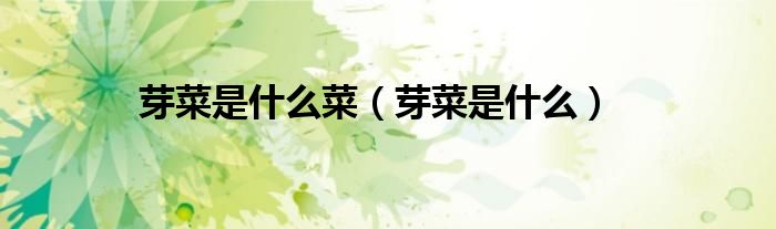 芽菜是什么菜（芽菜是什么）