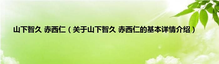 山下智久 赤西仁(关于山下智久 赤西仁的基本详情介绍)