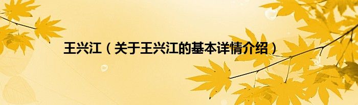 王兴江（关于王兴江的基本详情介绍）