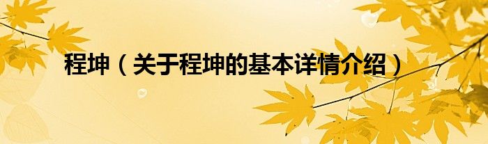 程坤（关于程坤的基本详情介绍）
