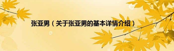 张亚男（关于张亚男的基本详情介绍）