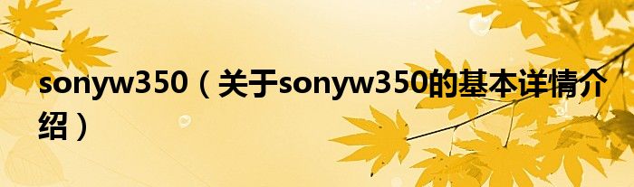 sonyw350（关于sonyw350的基本详情介绍）