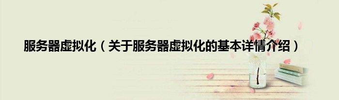 服务器虚拟化（关于服务器虚拟化的基本详情介绍）