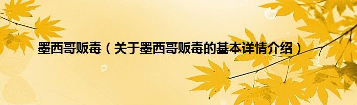 墨西哥贩毒（关于墨西哥贩毒的基本详情介绍）