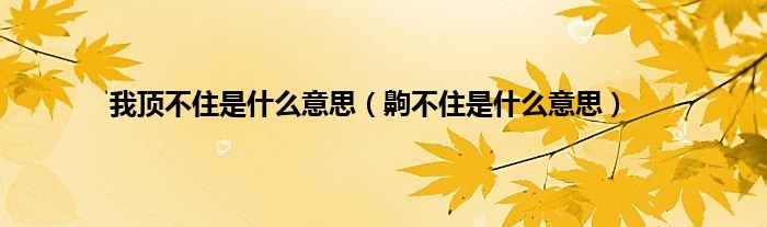 我顶不住是什么意思（齁不住是什么意思）