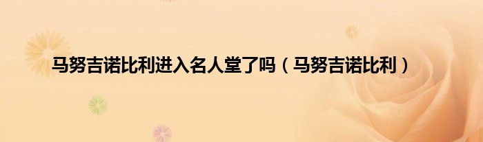 马努吉诺比利进入名人堂了吗（马努吉诺比利）