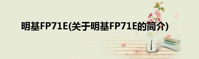 明基FP71E(关于明基FP71E的简介)