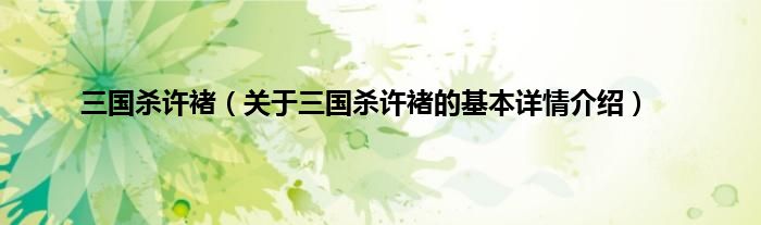 三国杀许褚（关于三国杀许褚的基本详情介绍）