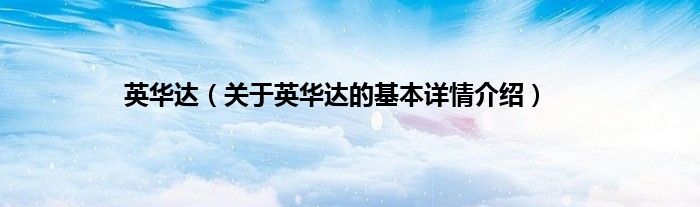 英华达（关于英华达的基本详情介绍）