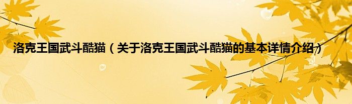 洛克王国武斗酷猫（关于洛克王国武斗酷猫的基本详情介绍）